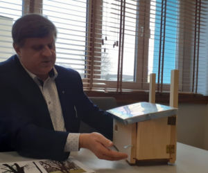 RZESZÓW:  Pszczoły w miejskich pasiekach będą już wiosną!