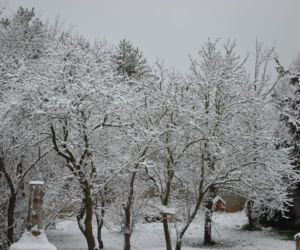 Zima Starachowice 29.11.2020