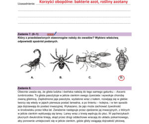 Matura próbna 2026 - biologia. Wszystkie odpowiedzi do arkusza CKE z biologii 14.01.2026