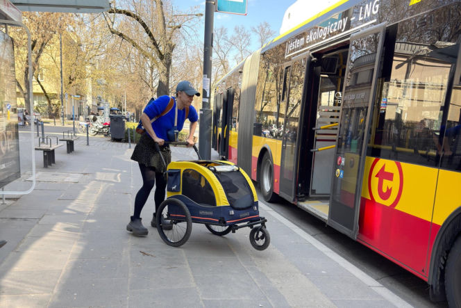 Tak Damięcka dba o psa