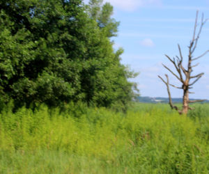 Dawna Plaża Mieleńska