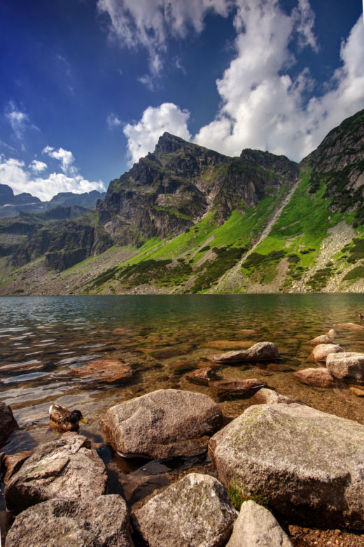 Kościelec