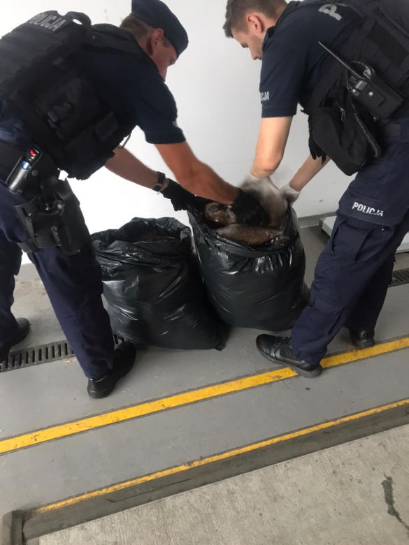 Toruń: Akcja policjantów z Bydgoszczy w naszym mieście. Zatrzymali dwóch mieszkańców Malborka