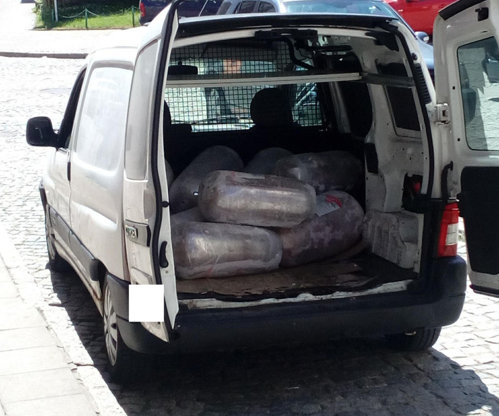 Rzeszów: Przewożą mięso do kebabów w samochodzie bez chłodni?!