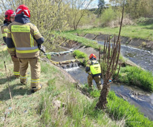 Nieznana substancja w rzece Kamiennej