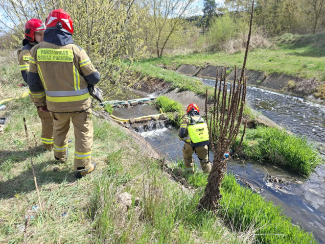 Nieznana substancja w rzece Kamiennej