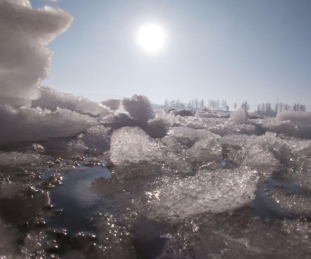 Oni cieszą się z mroźnej aury! Morsy ze Starego Sącza kochają kąpiele w lodowatej wodzie