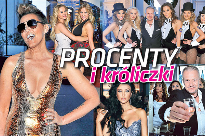 Super Gwiazdy: Procenty i króliczki