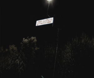 Oryginalna wystawa w Parku Centralnym w Olsztynie [ZDJĘCIA]