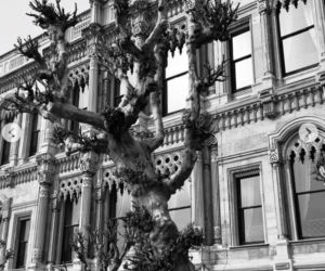 Kuba Wojewódzki z domniemaną żoną w kolejnej podróży! Nieźle sobie dogadzają