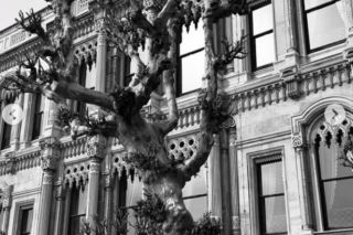 Kuba Wojewódzki z domniemaną żoną w kolejnej podróży! Nieźle sobie dogadzają