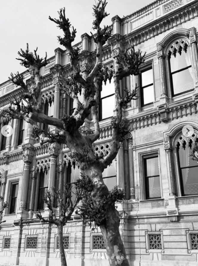 Kuba Wojewódzki z domniemaną żoną w kolejnej podróży! Nieźle sobie dogadzają