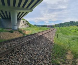 Zaborów. 17-letnia Izabella zginęła, potrącona przez pociąg [ZDJĘCIA]