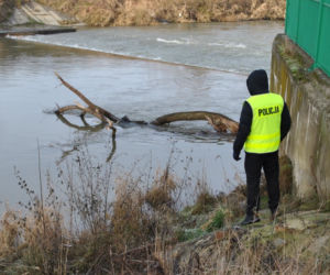 Rzeszów: Trwają poszukiwania zaginionej kobiety