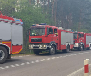 Pożar w Puszczy Solskiej