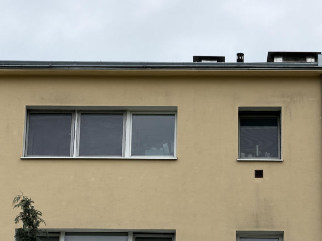 Zabójstwo na woli