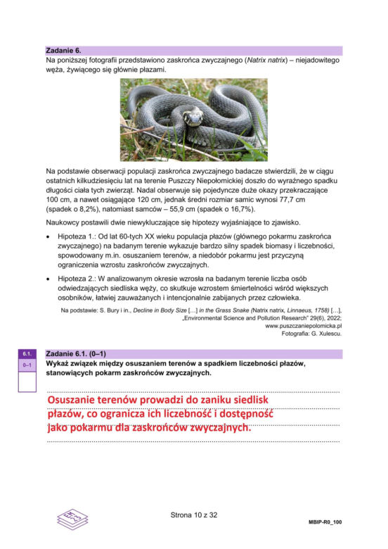 Matura 2025 biologia rozszerzona: ODPOWIEDZI do wszystkich zadań, gotowe rozwiązania matury z biologii rozszerzonej [9.05.2025]	