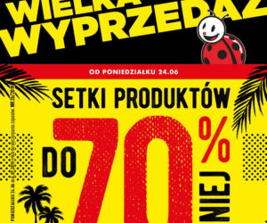 wielka wyprzedaż Biedronki