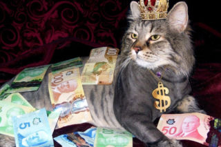 QUIZ: Ile będziesz zarabiać w przyszłości? Czy życie w luksusie to twoje przeznaczenie?