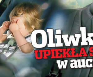 Oliwka upiekła się w aucie