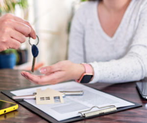 Portal DOM coraz bliżej – co deweloperzy muszą wiedzieć?