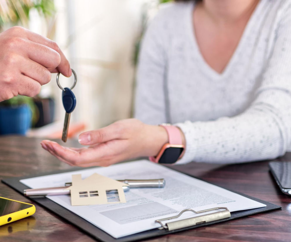 Portal DOM coraz bliżej – co deweloperzy muszą wiedzieć?