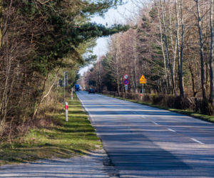 Burmistrz Helu chce zamknąć półwysep przez koronawirusa