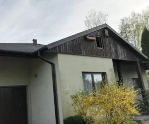 Śląskie: Chmara nietoperzy na strychu. Szokujące odkrycie zwala z nóg. Cała kolonia, rzadki gatunek