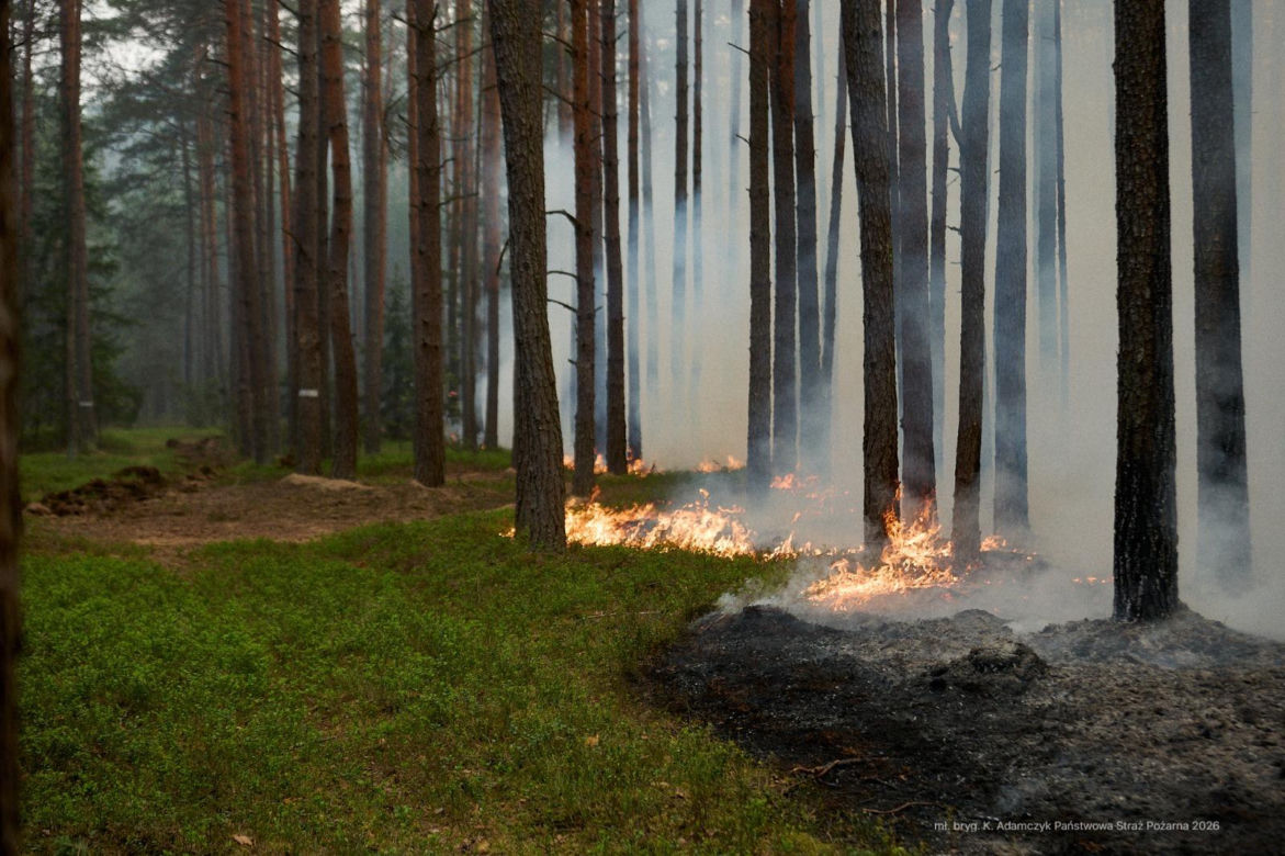 Walka z pożarem pod Biłgorajem. Szef MSWiA: „Jesteśmy umiarkowanymi optymistami”