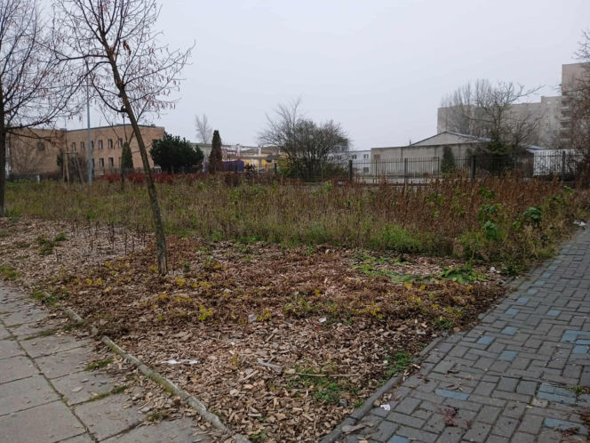 Park kieszonkowy w Siedlcach przy ul. Jagiełły