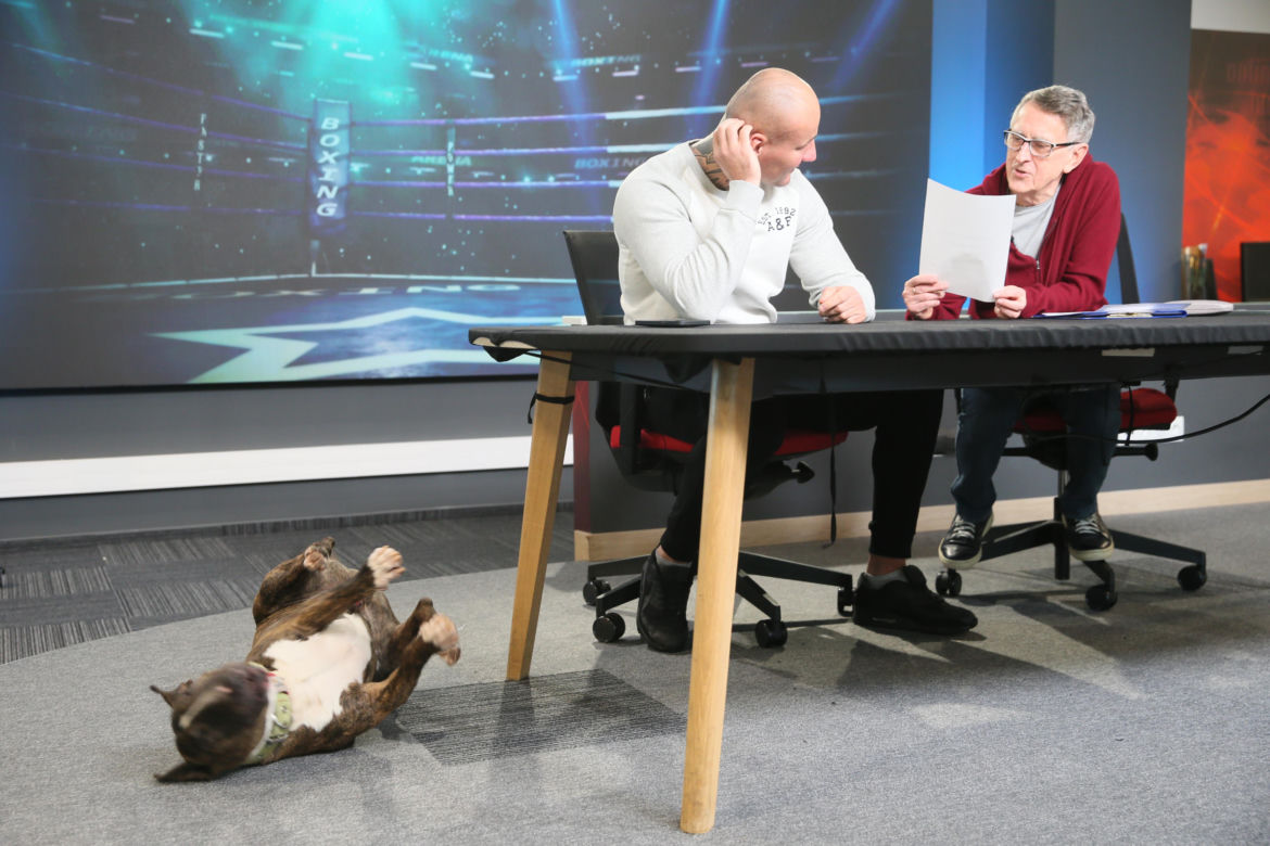 Artur Szpilka i Cycu