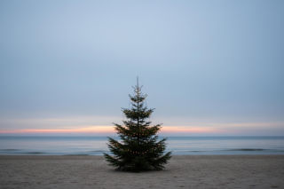 Marta Kaczyńska pokazała choinkę nad Bałtykiem. Co zaskoczyło tysiące internautów?