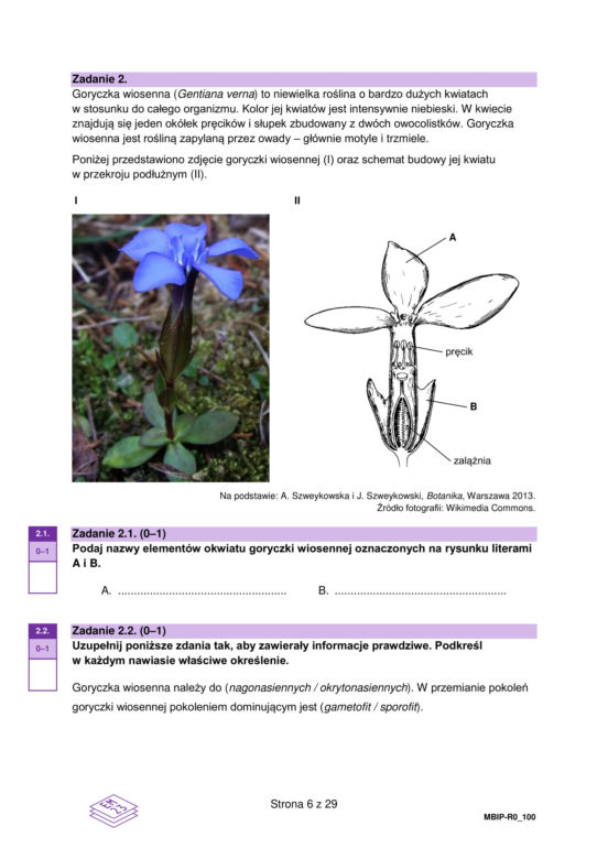 Matura 2023: biologia. Arkusze CKE i odpowiedzi [Formuła 2023]