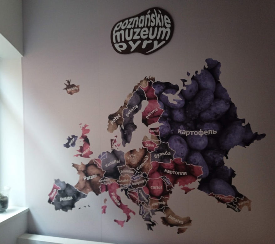 Muzeum Pyry w Poznaniu