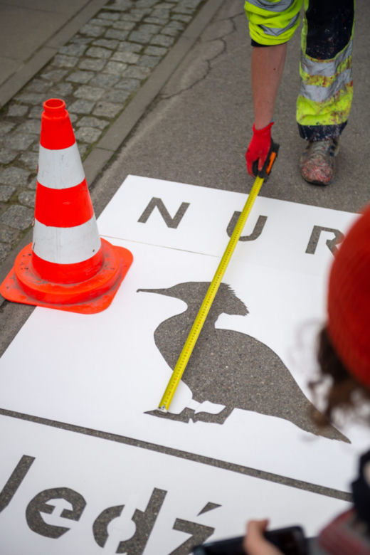 Nurogęsi mają swoje pasy