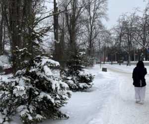 Choinka po świętach nie musi trafić na śmietnik. Lublin daje drzewkom drugie życie