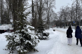 Choinka po świętach nie musi trafić na śmietnik. Lublin daje drzewkom drugie życie