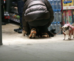 Marta Kaczyńska z synem na spacerze
