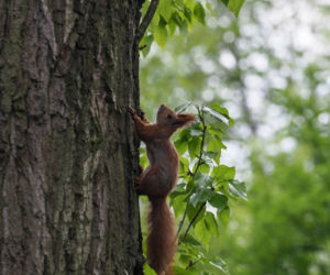 Park Ludowy pięknieje z dnia na dzień. To naprawdę robi wrażenie