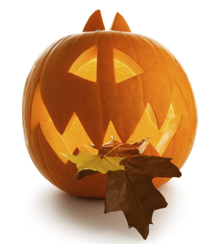 Halloween dynie