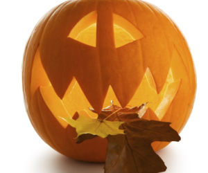 Halloween dynie