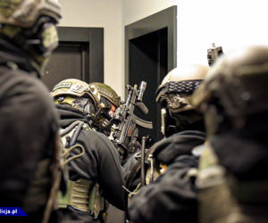 Potężne uderzenie w gang samochodowy. 10 osób w rękach policji