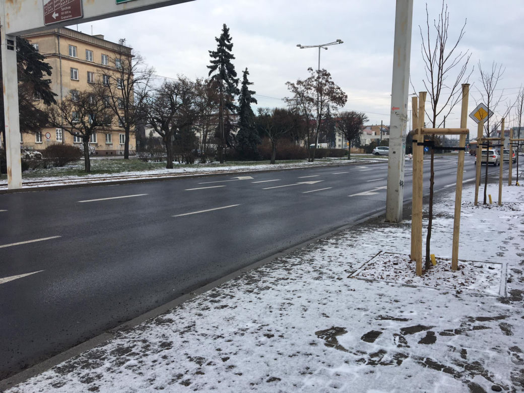 Niebezpieczne przejście dla pieszych u zbiegu Al. 23 stycznia i ulicy Focha