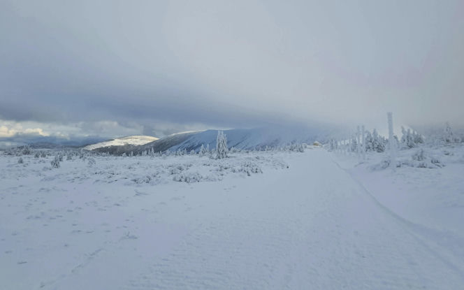 Atak zimy na Dolnym Śląsku. GOPR i IMGW wydają pilne komunikaty