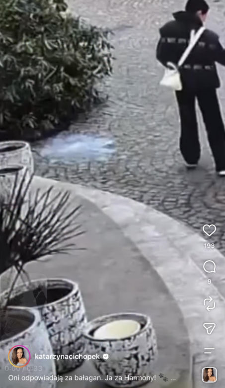 Katarzyna Cichopek