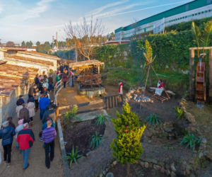 Największa żywa szopka bożonarodzeniowa w Europie