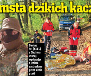 Zemsta dzikich kaczek