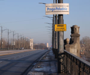 Wścieklizna atakuje w Warszawie
