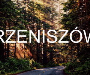 Rzeniszów