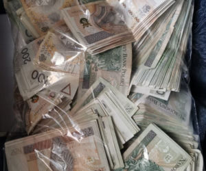 Ogród pełen konopi, a w domu ponad 130 tysięcy złotych. 49-latka ma spore kłopoty
